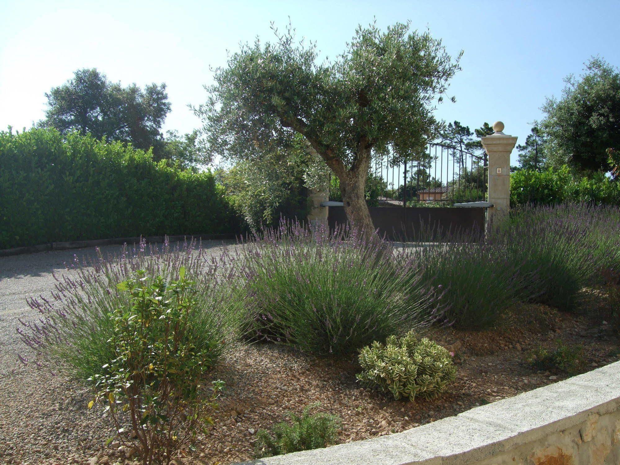 Villa Verdi مونتارو المظهر الخارجي الصورة